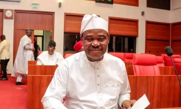 Nigeria Must Borrow More to Build Infrastructure, Says Senator Ibrahim 1 Ibrahim