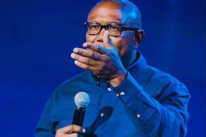 2027 Presidency: Why Peter Obi Needs a New Political Strategy 2 images 31