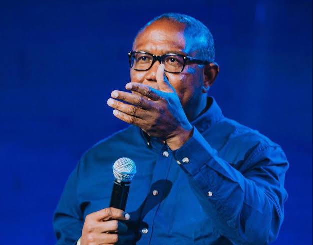 2027 Presidency: Why Peter Obi Needs a New Political Strategy 1 images 31