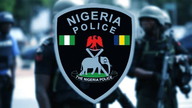 113 Foreign Nationals Arrested, Nigeria Police Reaffirms Commitment to Cybersecurity 1 Police