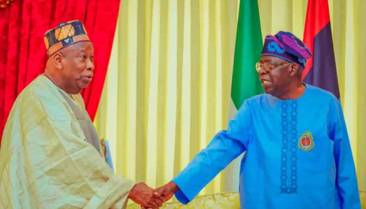 APC leaders complain as Tinubu ignores party’s leadership during policy formulations 1 Screenshot 20241227 092642
