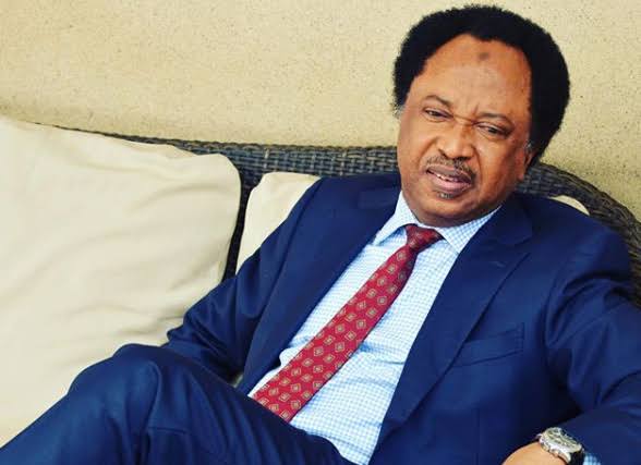 Shehu Sani Reacts to news of CBN sacking 1,000 employees 1 Shehu Sani