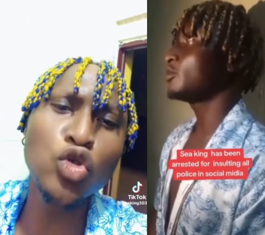 Popular Nigerian TikToker, Seaking Arrested for Inciting Violence Against Police Officers 1 iiidd 1734817104