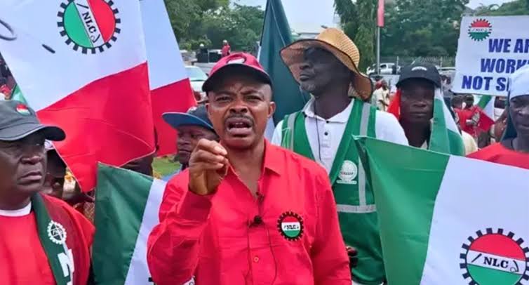 Telecom Tariff: NLC Planned Protest Not In Public Interest, CSOs Tell Labour 1 NLC