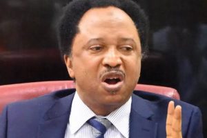 Shehu Sani Reveals Escape from 6-Month Suspension for Exposing Senators' Salaries 18 IMG 20250307 WA0009