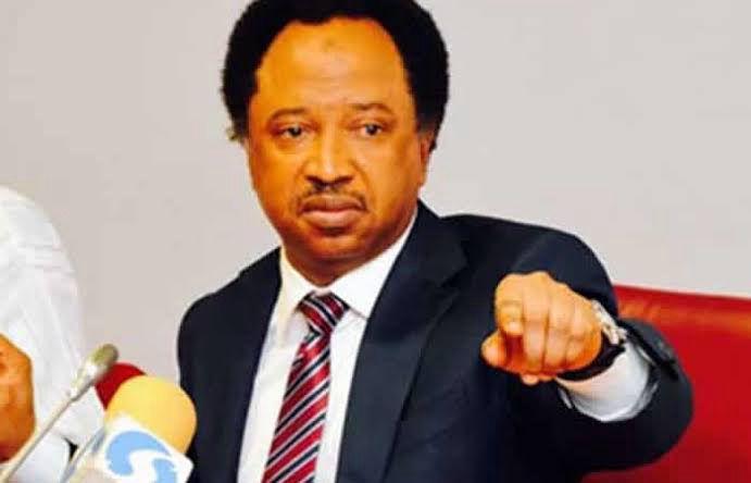Shehu Sani Condemns ₦942bn Census Budget as Tinubu Seeks Cheaper Option 1 IMG 20250309 WA0004