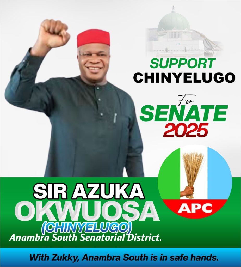 Azuka Okwuosa: A Visionary Leader Poised to Transform Anambra South 1 Azuka Okwuosa