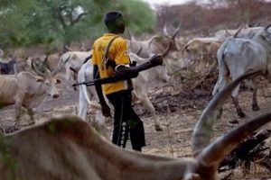 Ondo Govt Debunked Reports of Deadly Herder Attack 1 IMG 20250311 WA0011