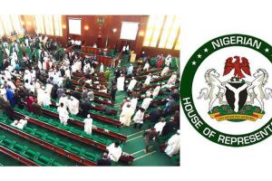 Nigerian House of Reps Seeks to Block Access to Pornographic Websites 2 IMG 20250311 WA0058