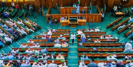 Tax Reform Bills Progress in House of Reps Following Committee Approval 1 IMG 20250314 WA0009