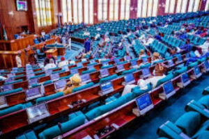 Reps Extend Deadline for State and LG Creation: More Time to Dream Big! 3 IMG 4321