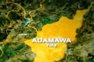 Adamawa Police Arrest Two Suspects Over Ritual Murder Of Minor 15 IMG 5834