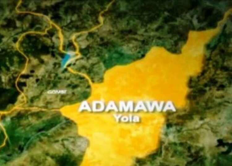 Adamawa Police Arrest Two Suspects Over Ritual Murder Of Minor 1 IMG 5834