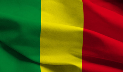 Mali Quits Francophonie: West Africa’s Sahel Region Further Divides From France 1 IMG 5883