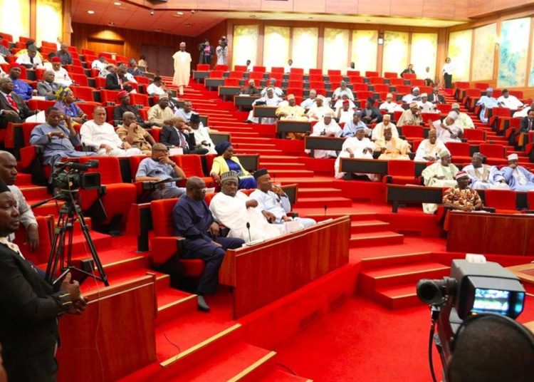 Cameroon Border Incursion: Nigerian Senate Launches Investigation 1 IMG 5887