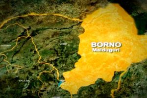 Borno Couple Arrested For Allegedly Assaulting Minor Over Mango Theft 19 IMG 6008