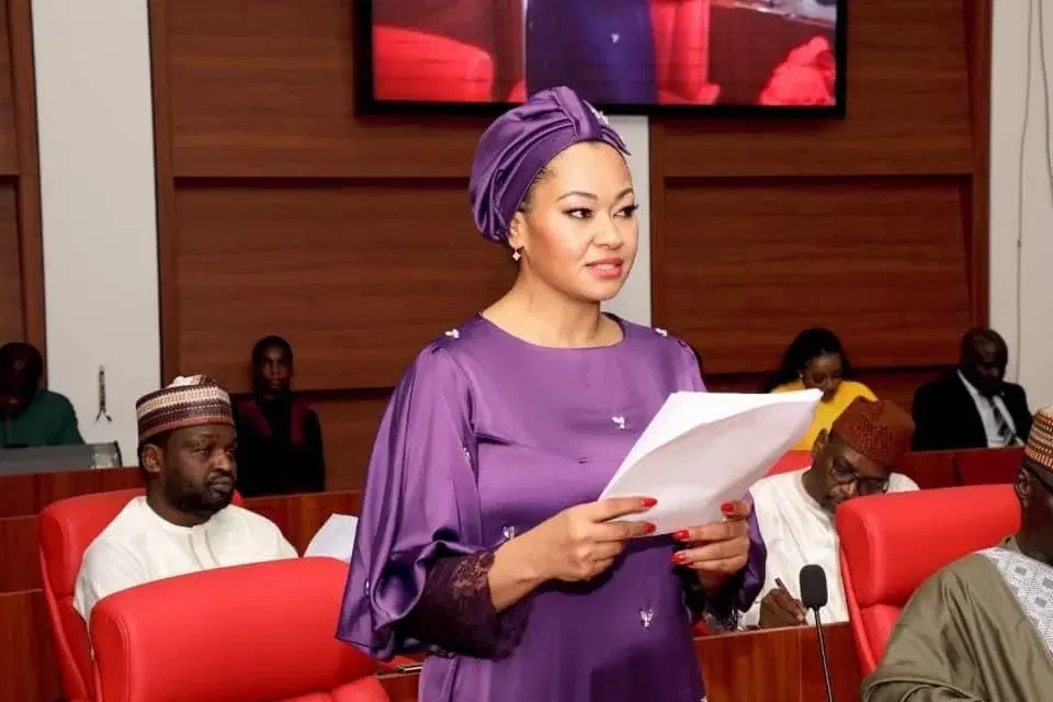 ''Natasha’s IPU Incident Harms Nigeria’s Reputation'' – Women’s Group 1 Natasha Akpoti at Senate 1