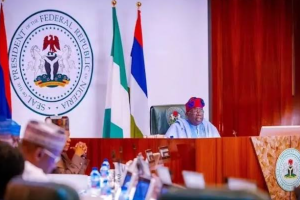Niger Delta Leaders Set To Meet Tinubu Today 14 Screenshot 20250311 113148