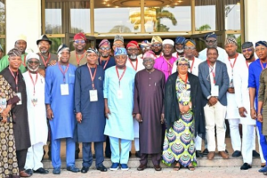 “Everything Has Been Resolved” – Lagos Lawmakers Reveal After Meeting With Tinubu 9 Screenshot 20250313 062507