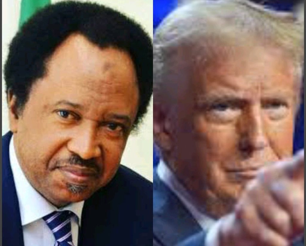 Shehu Sani Reacts As US House Urges Trump To Sanction Nigeria Over Killings 1 operanews1741967926933 1