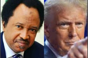 Shehu Sani Reacts As US House Urges Trump To Sanction Nigeria Over Killings 1 operanews1741967926933 1