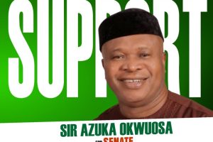 Azuka Okwuosa: A Patriotic Leader That Will Amplify His People's Collective Voices In The Senate 20 19052320 img20250203wa0012 jpeg3c9919960f143d34e183bc64aba4b385