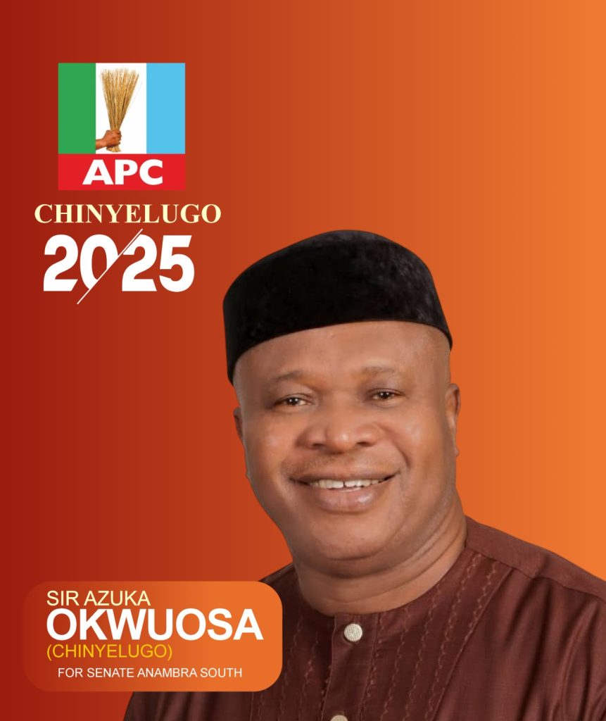 Azuka Okwuosa: Anambra South's Resolute Choice Whose Time Has Come 1 Azuka Okwuosa