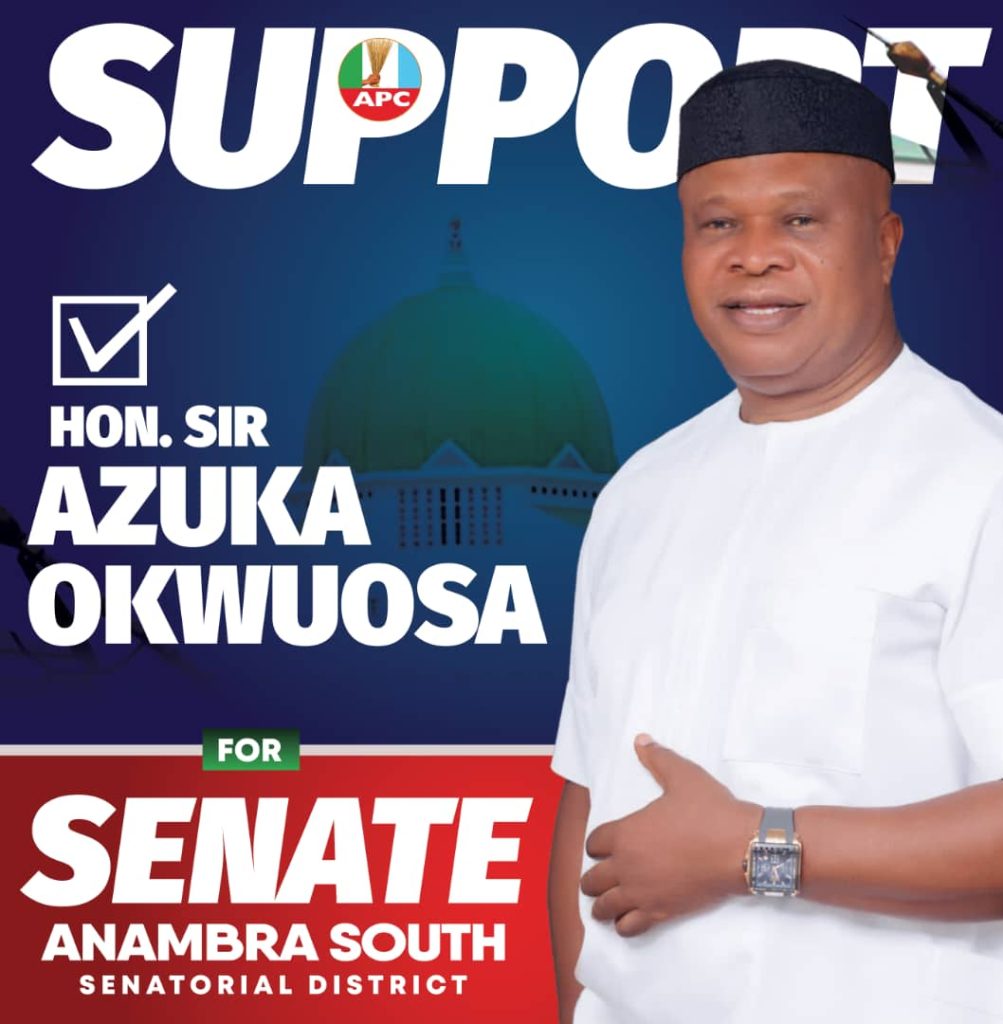 Azuka Okwuosa's Triumph At The Anambra South Senatorial Polls: A Leap Of Ndị Anambra South To Envious Heights 1 Azuka Okwuosa
