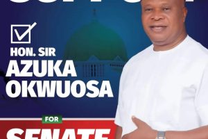 Anambra South By-election 2025: Azuka Okwuosa, Unity In Action 11 IMG 20250417 WA0063