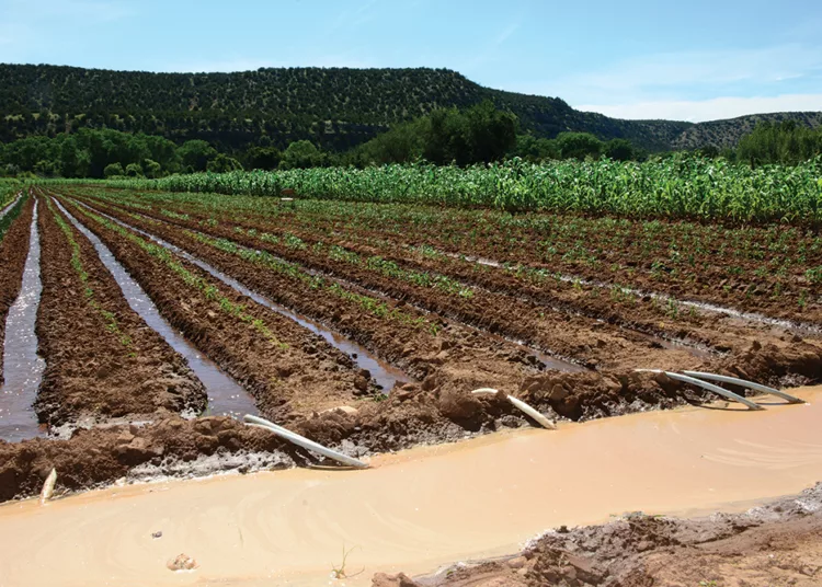 Tinubu Charts New Course For Agriculture With Irrigation, Youth Empowerment 1 IMG 5605