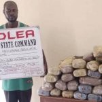 NDLEA Seizes 563kg of Drugs in Bayelsa Warehouse, Four Arrested 1 IMG 5642