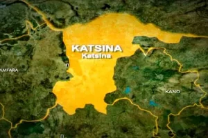 Fourteen Bandit Groups Surrender Weapons in Katsina, Seek Peace 14 IMG 5947