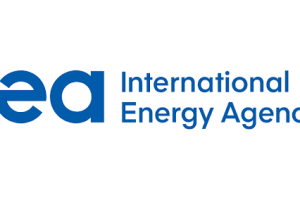 Electricity Demands Skyrocket By 4.3% In 2024,According to IEA 6 IMG 6329