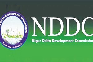 N10bn NDDC Fund To Support Niger Delta Entrepreneurs 5 IMG 6331