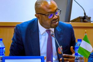 Nigeria Minister Of Interior Slams Employers Hiring Foreigners For Local Jobs 17 IMG 6558