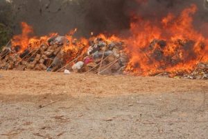 Largest Drug Bust: NDLEA Destroys 1.6 Millions Kilograms Of Illicit Drugs 15 IMG 6568