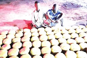 NDLEA Sounds Alarm Over Rising Use Of Cannabis In Oyo 11 IMG 6573