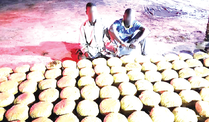 NDLEA Sounds Alarm Over Rising Use Of Cannabis In Oyo 1 IMG 6573