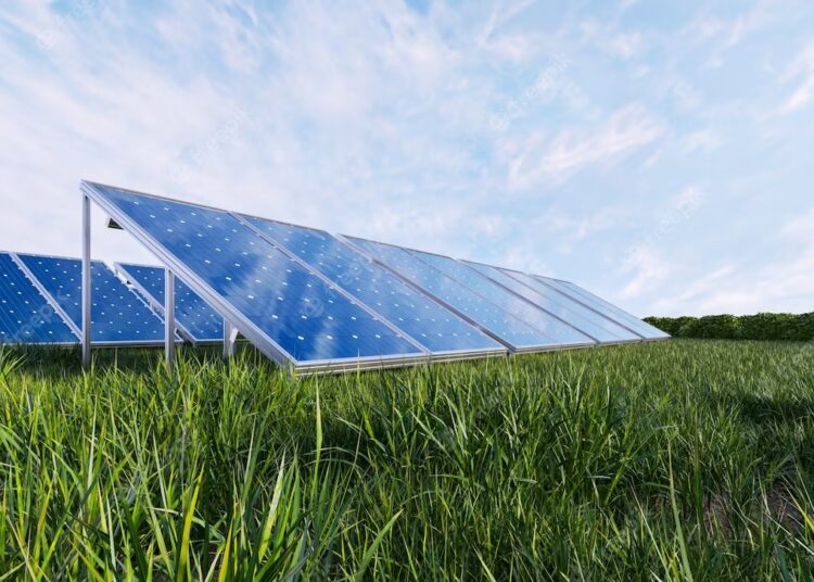 Hong Paramount Ruler Drives Development With Agric And Renewable Energy Project 1 IMG 6599