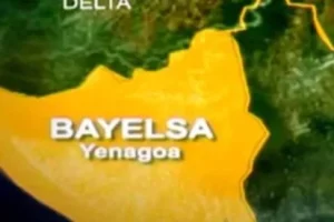 Bayelsa To Get IITA Sub-National Center For Agricultural Development 9 IMG 6710 1
