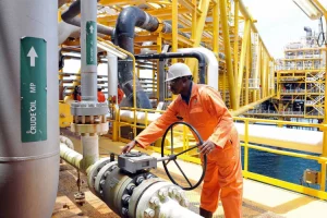 Oil Price Plunge Puts Nigeria Revenue Target At Risk 19 IMG 6719