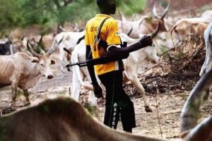 Bloodshed On Good Friday: Herders Kill 10 In Benue 19 IMG 6732