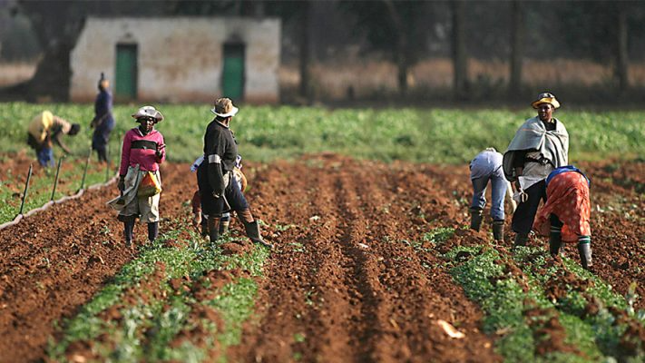 Agricultural Associations Unite For Sustainable Food Future 1 IMG 6770