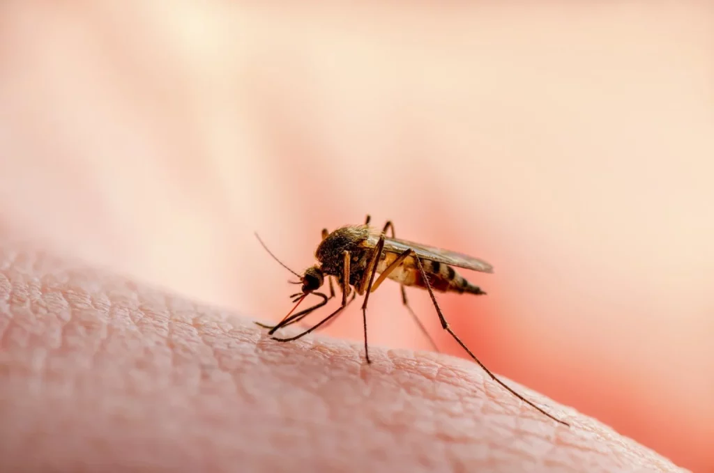 Mosquito Net Distribution: Delta Govt's Plan to Tackle Malaria 1 IMG 6972