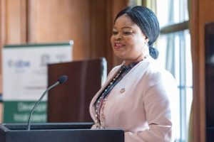 Princess Orelope-Adefulire Leads Nationwide Consultations on 2025 SDGs Progress 13 images 3