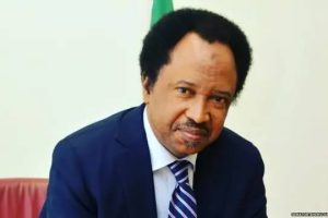 Freedom of Speech Is Not Free — Senator Shehu Sani Warns Nigerians to Always Keep Money for Legal Battles 2 1000090116