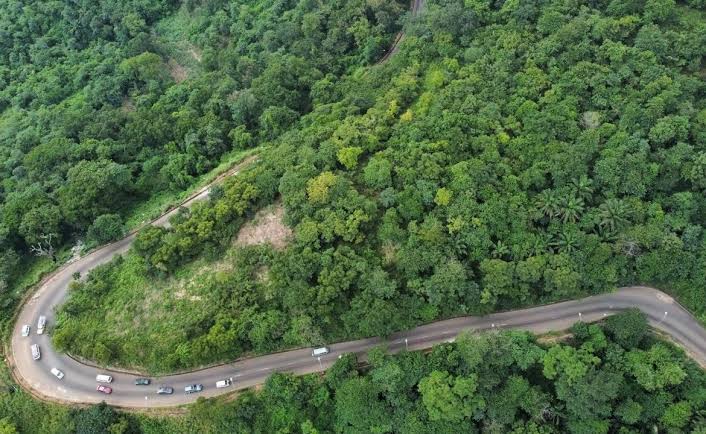 Enugu Forest