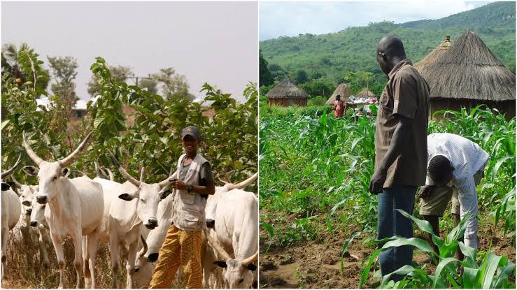 Two Killed, Several Injured in Farmers-Herders Clash in Taraba 1 Herders Clash
