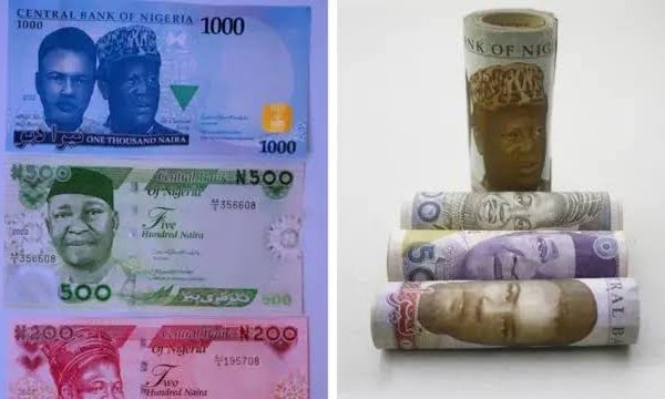 From N0.66 to N1600: The Naira’s Tumultuous Journey Against the Dollar 33 1000101390