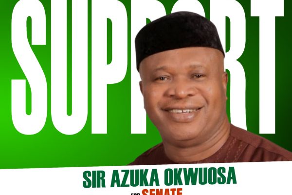 Purposeful Representation: Sir Azuka Okwuosa's Sacrosanct Mission In The Senate 37 IMG 20250428 WA0066
